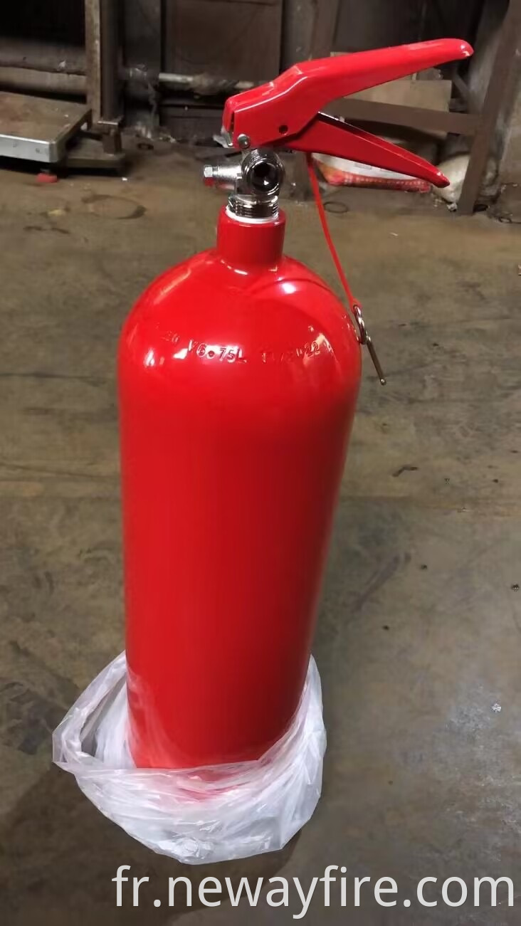 2Kg Carbon Steel Co2 Fire Extinguisher